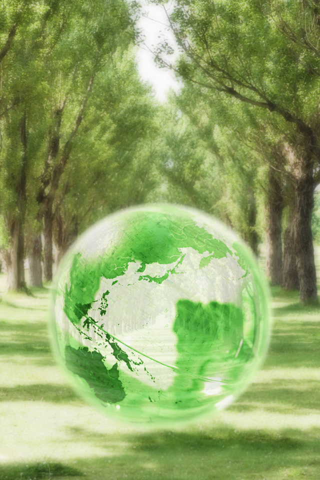 Хрустальный шар