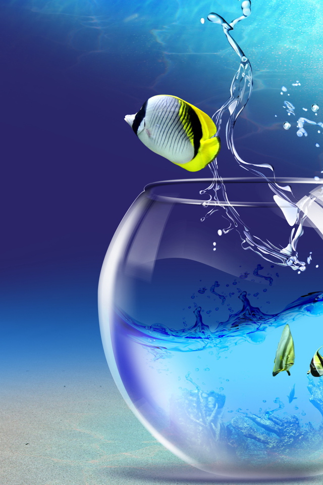 Прощание с аквариумом