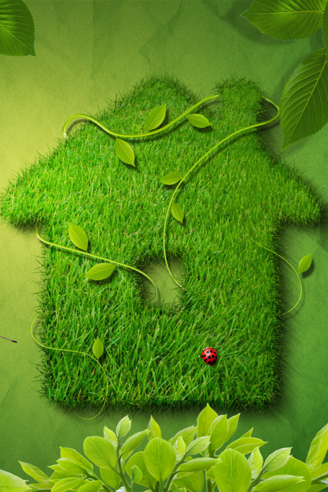 Зеленый домик