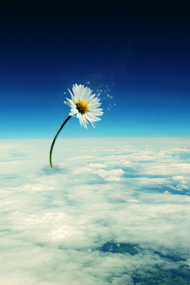 Небесный цветок