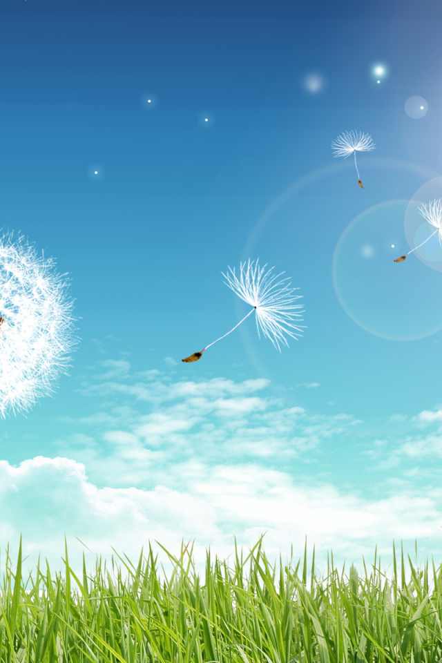 Летний день