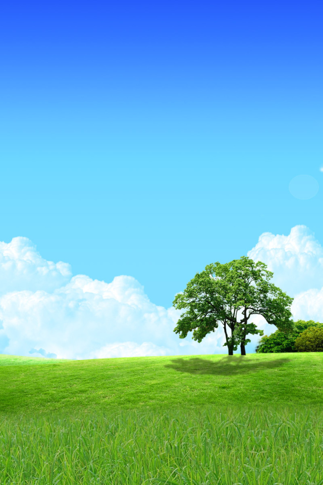 Солнце в зените