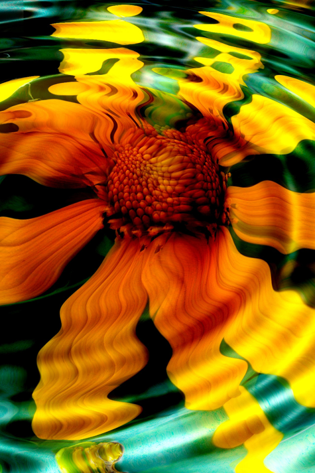 Желтое отражение