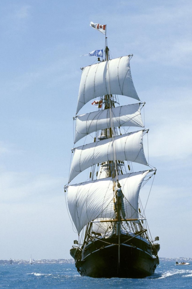 Белые паруса