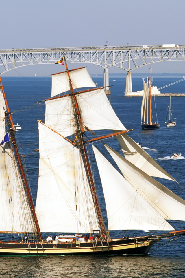 Белые паруса