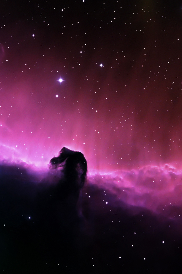 Туманность Лошади