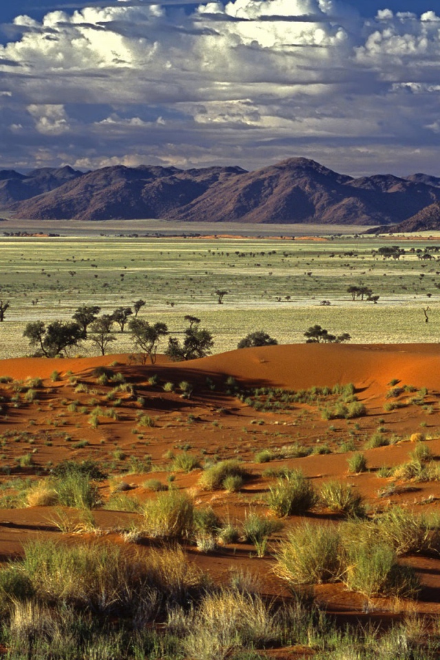 Африканская саванна