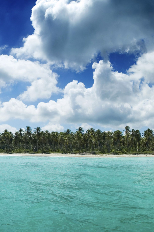 Гавайский берег