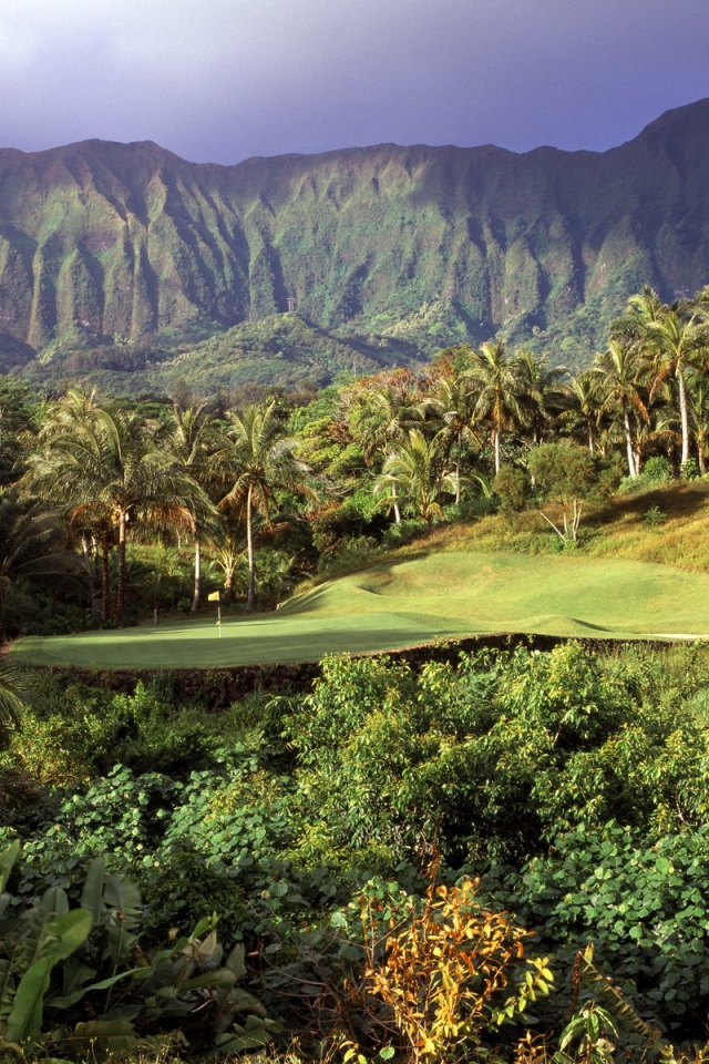 Гавайская растительность