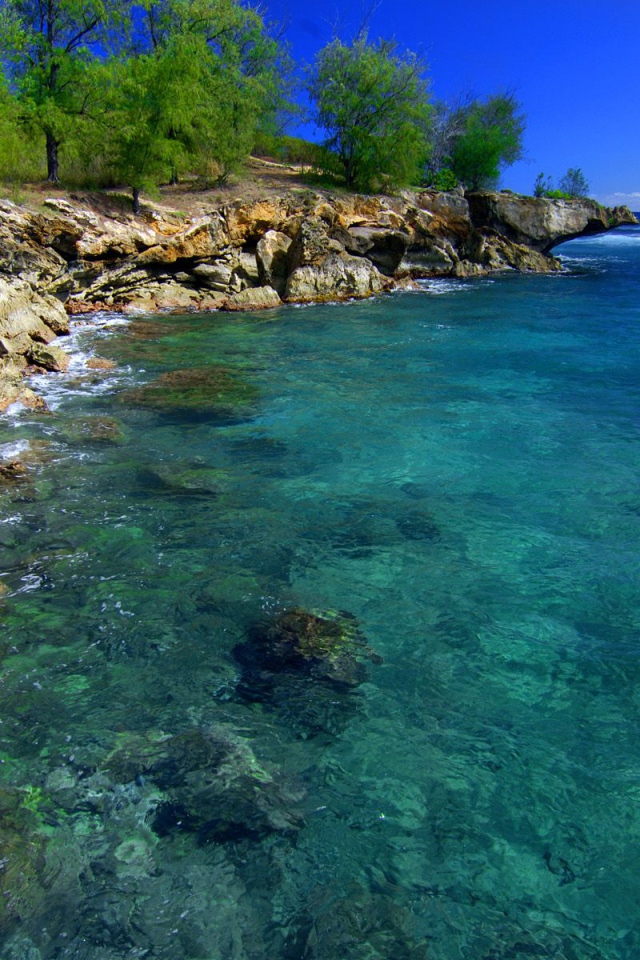 Скалистый берег