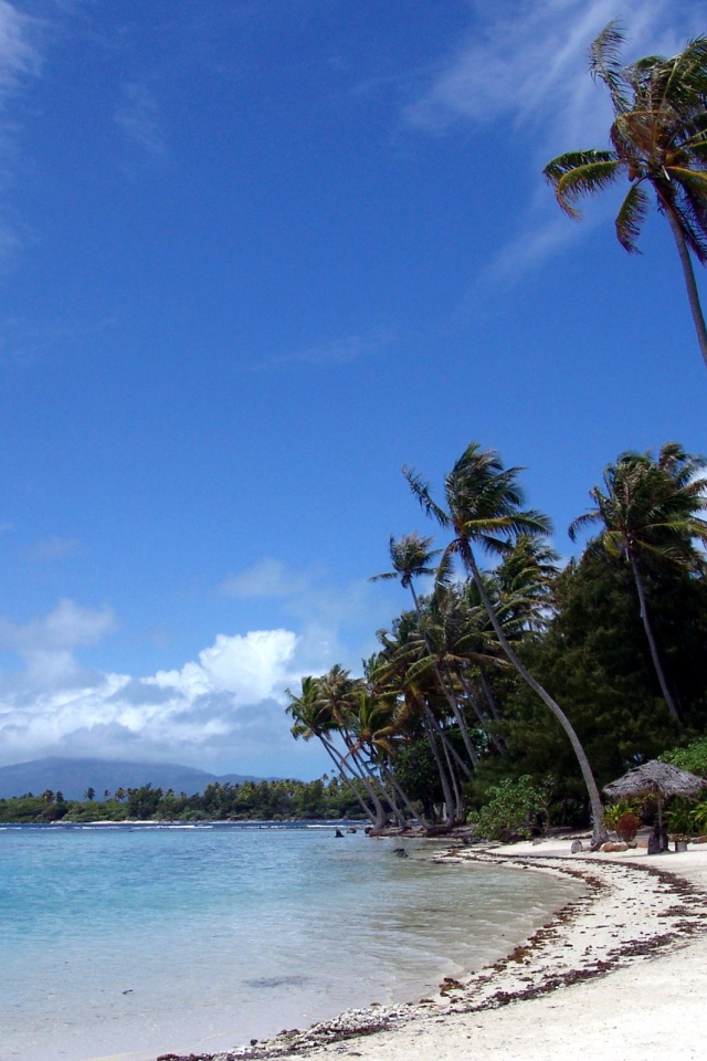 Отдых на Мальдивах