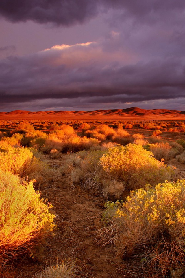 долина Antelope