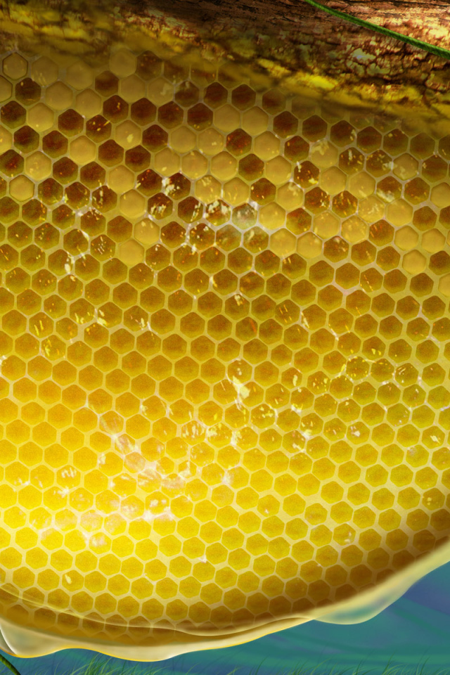 Пчелы и соты