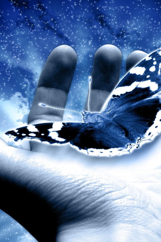 Бабочка в руке