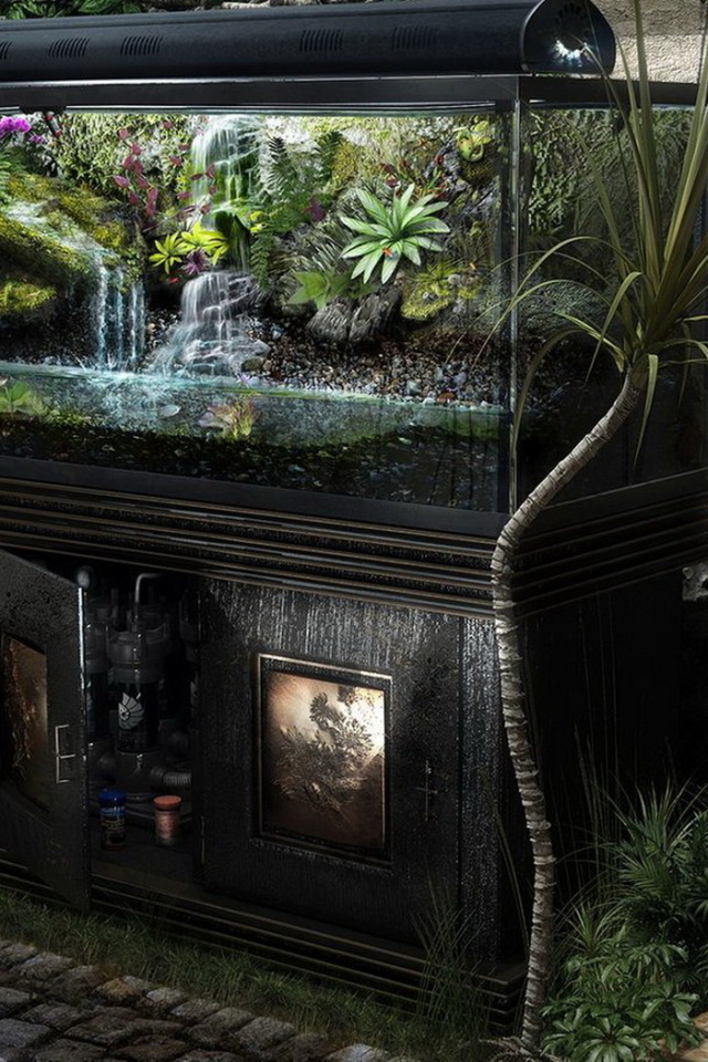 Домашние джунгли