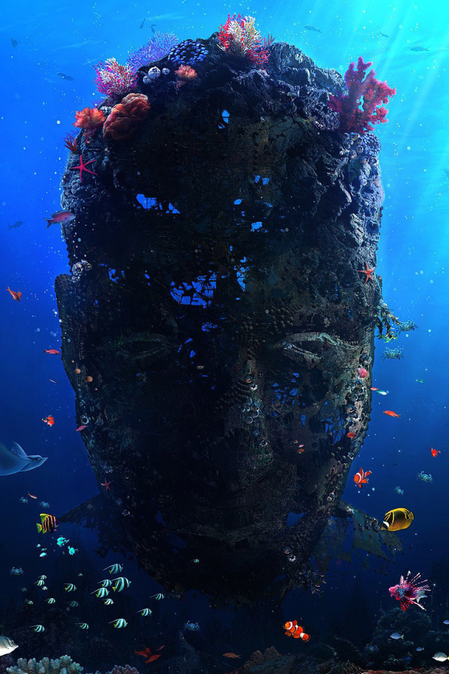 Невиданный коралл