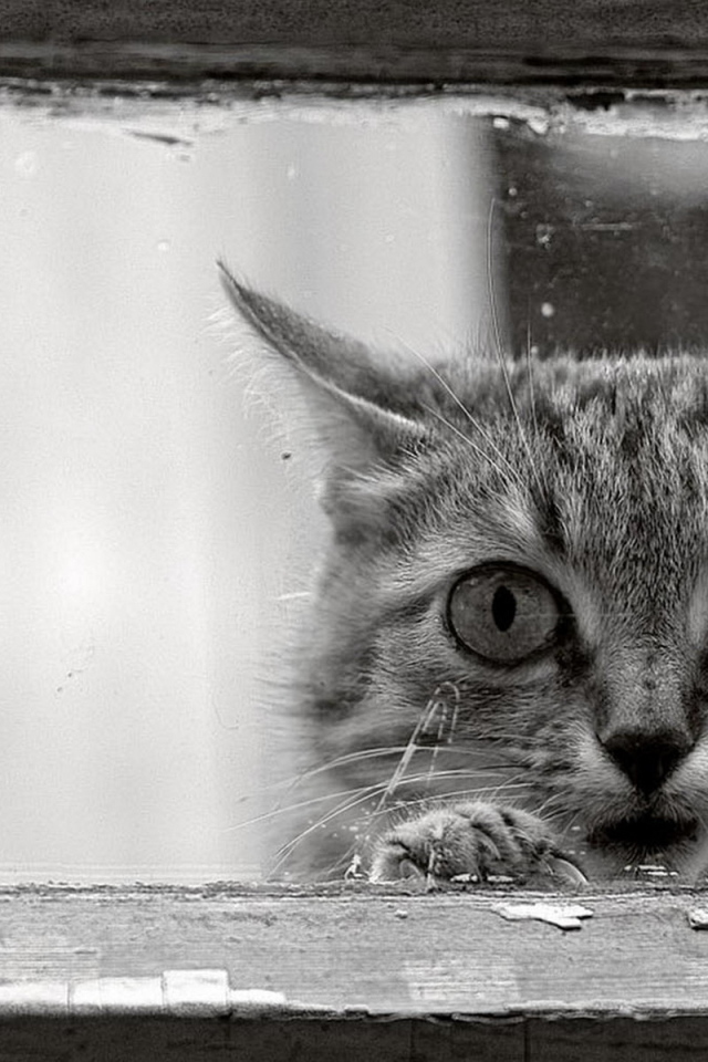 Возле окошка