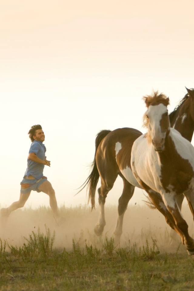 Пробежка с табуном