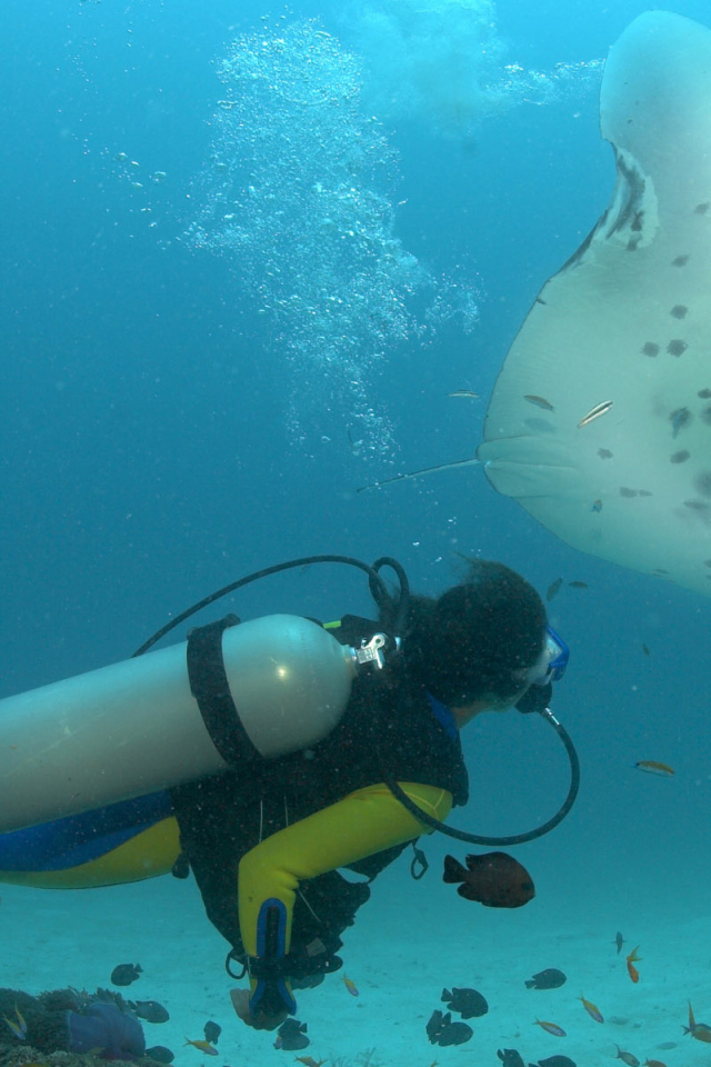 Дайвер и скат