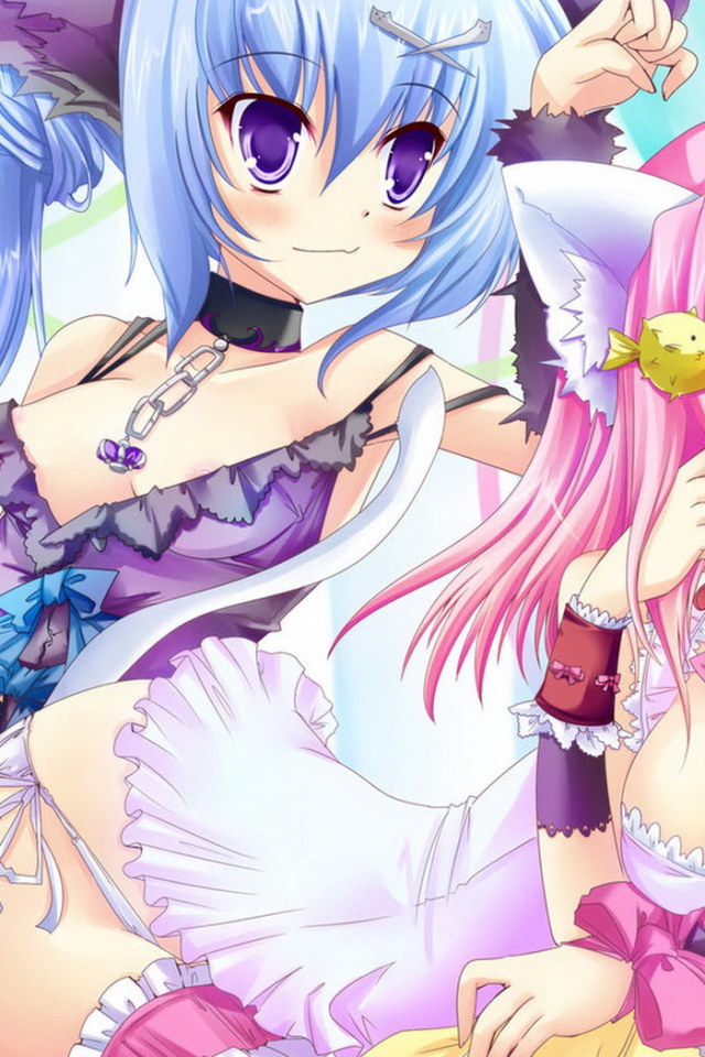 Парочка кошечек