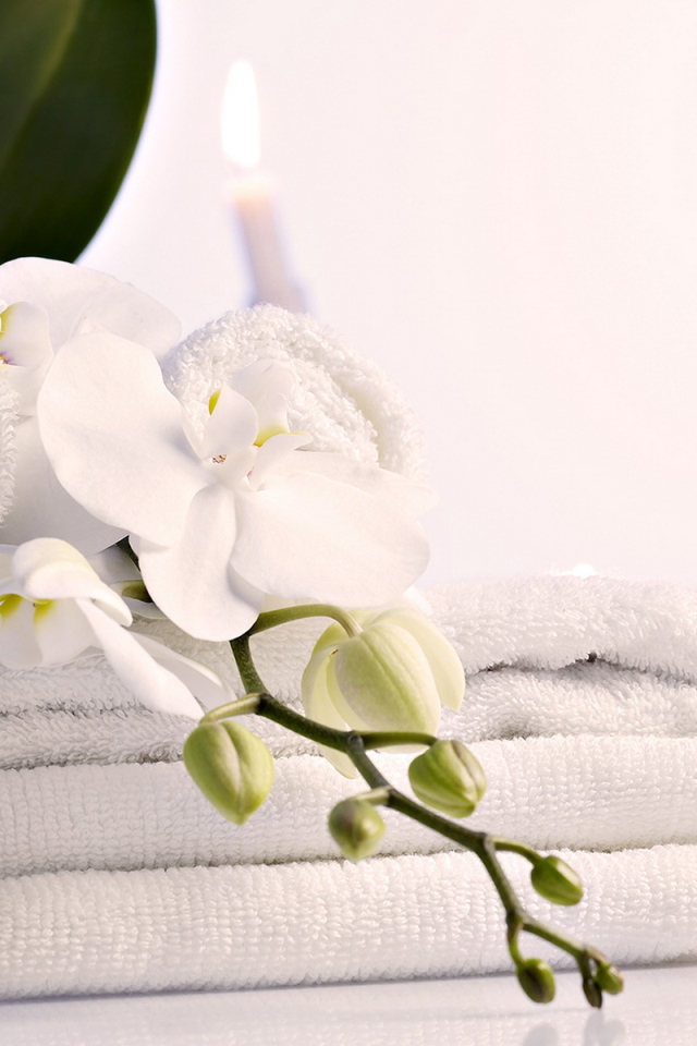 Чистые полотенца