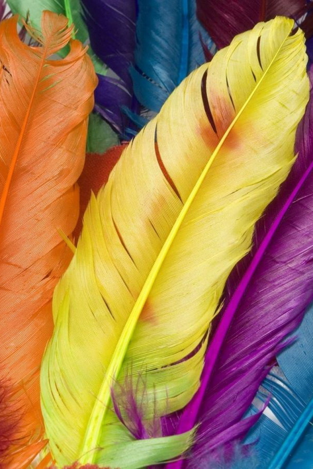 Разноцветные перья