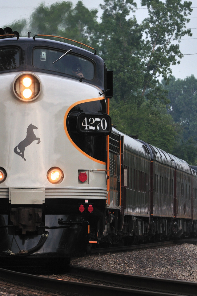 Пассажирский поезд