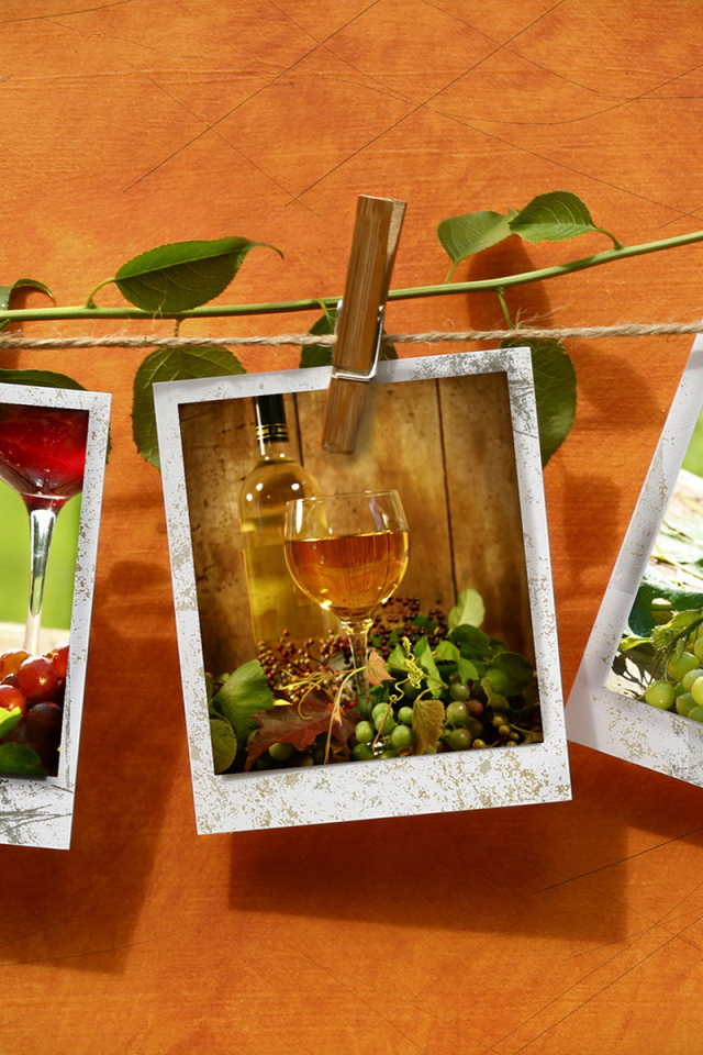 Фотографии