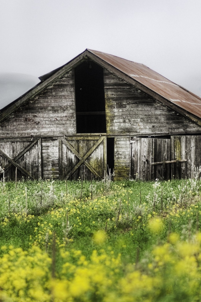Разваливающийся сарай