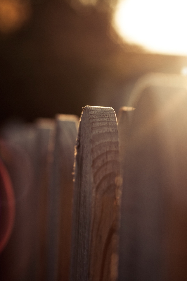 Деревянный забор