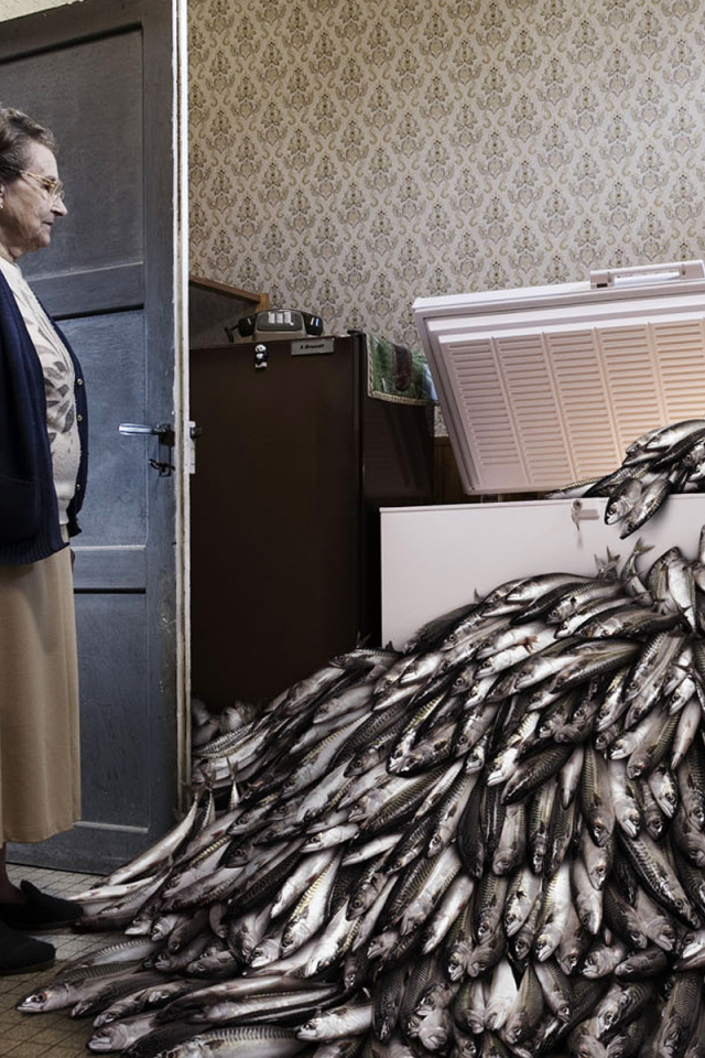 Охлажденная рыба