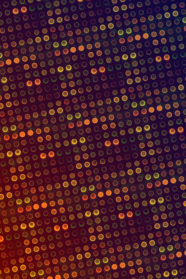 2010 лампочки