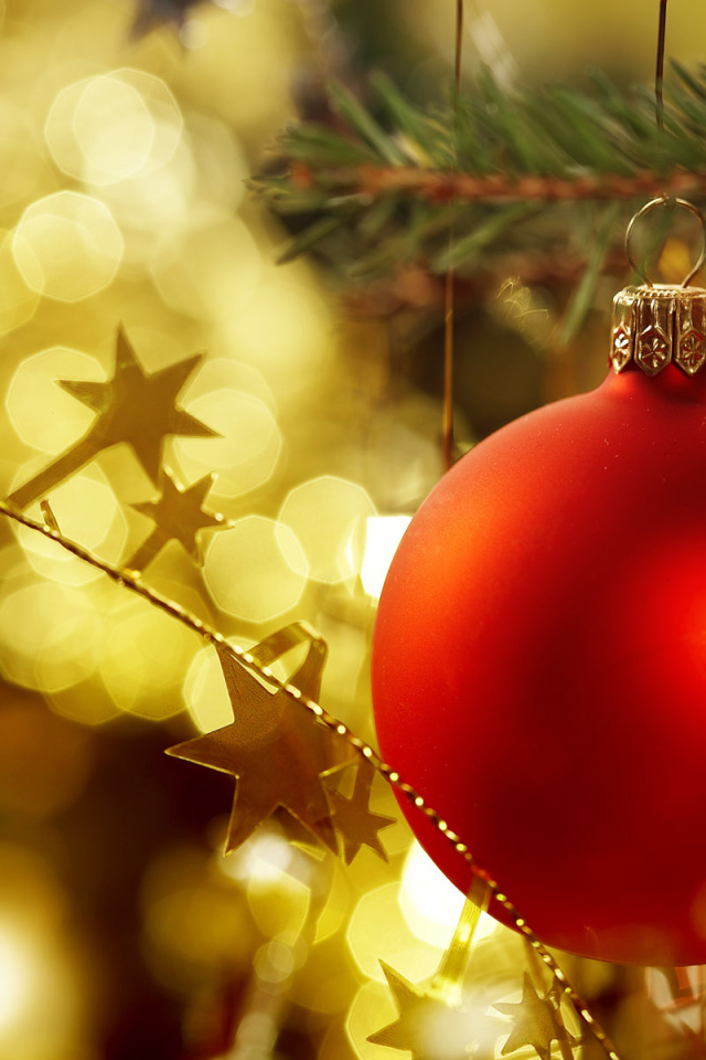 Празднуем Новый 2011 Год