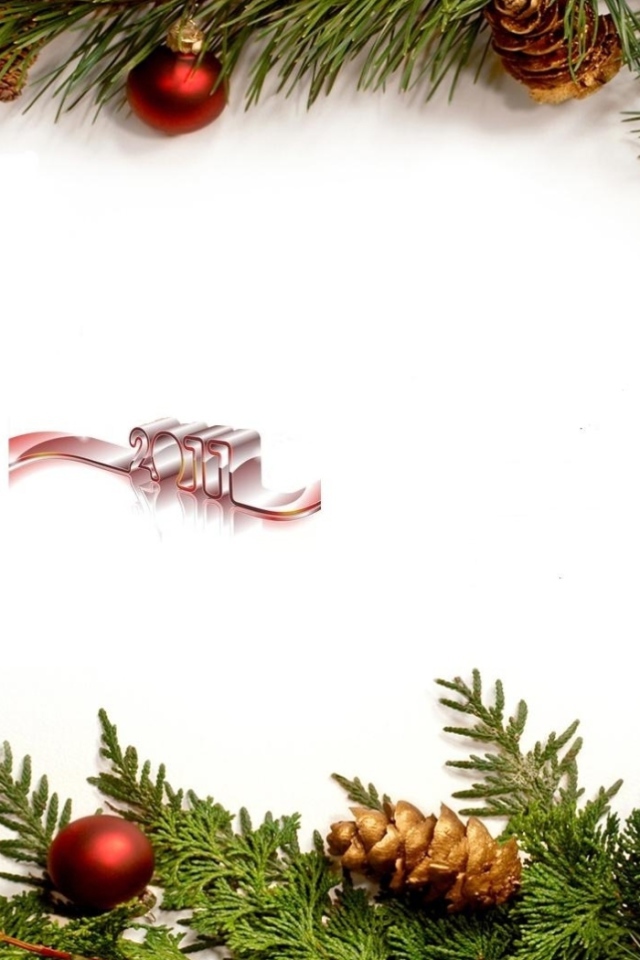 Новый Год 2011