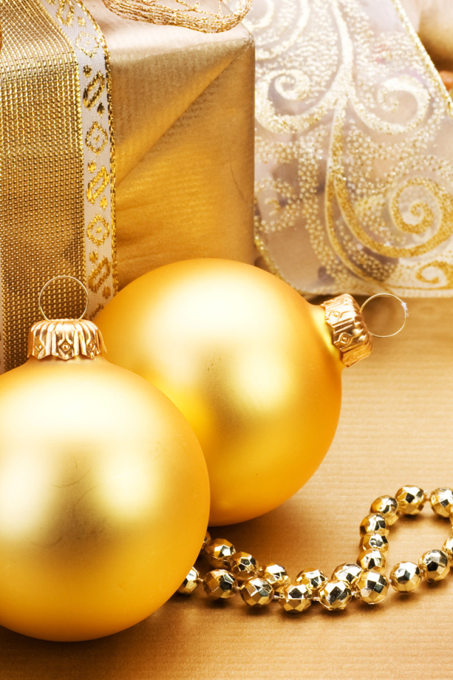 Празднование Нового Года 2011