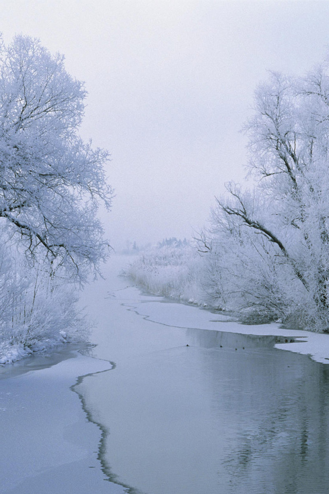 Замерзшая река