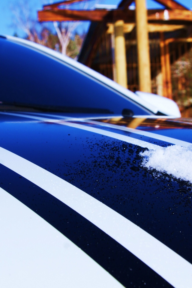 Клубника на капоте