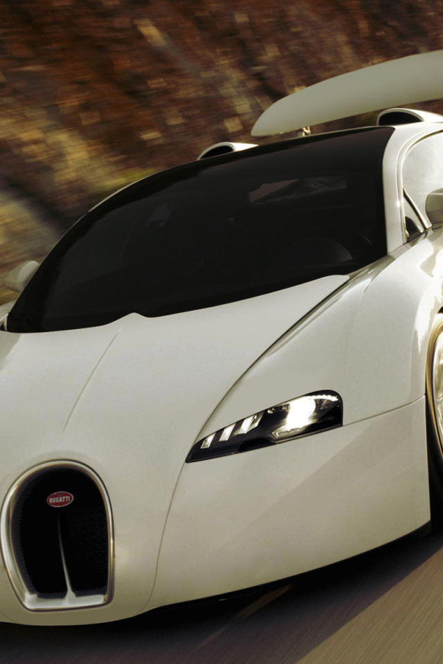 White Bugatti Veyron