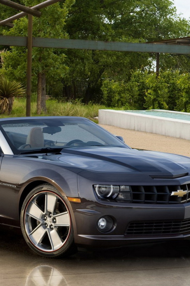 Chevrolet-Camaro Convertible