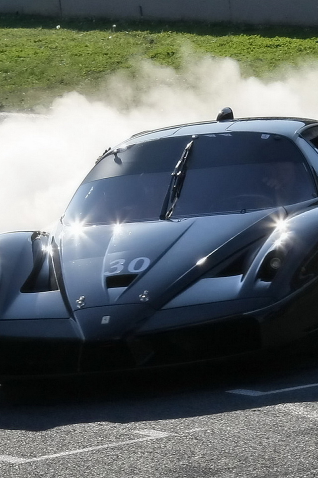 Феррари FXX на гонке