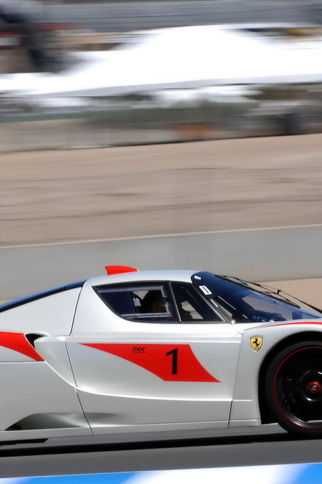 Феррари FXX на гонке