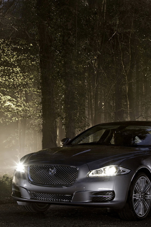Jaguar XJ в лесу