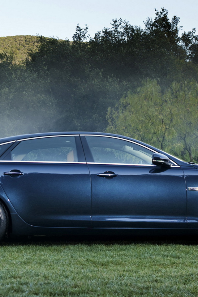 Ягуар XJ в лесу