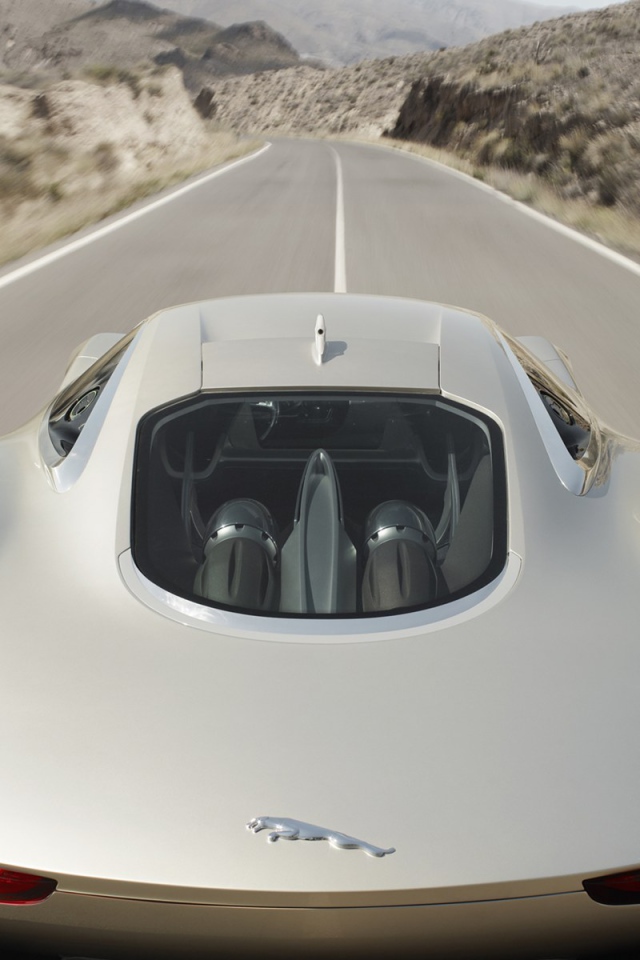 Спортивный ягуар 2011