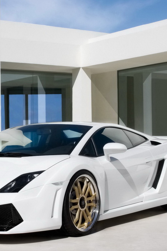 IMSA Lamborghini Gallardo LP-560