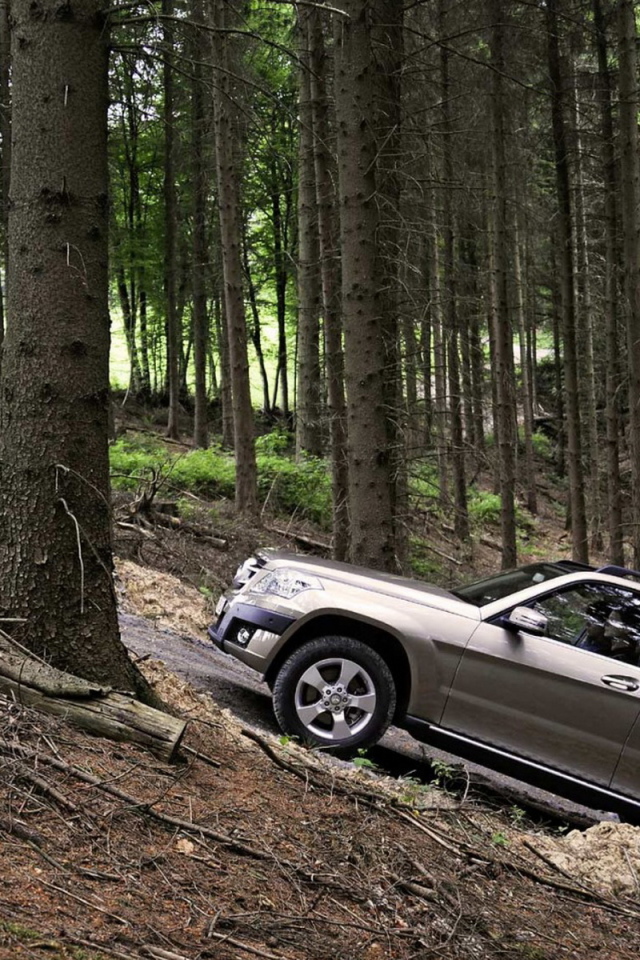 Mercedes Benz GLK прогулка по лесу