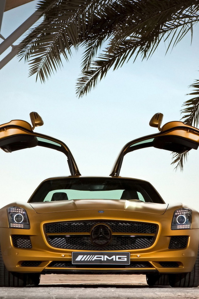 Mercedes Benz SLS AMG Desert Gold в тени пальмы