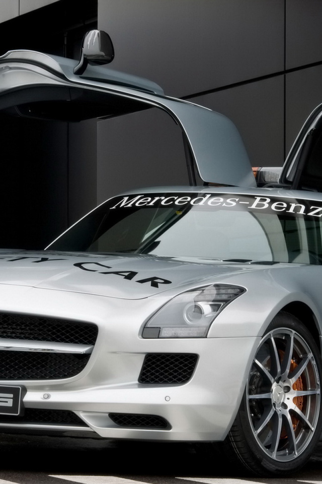 Mercedes Benz SLS AMG F1