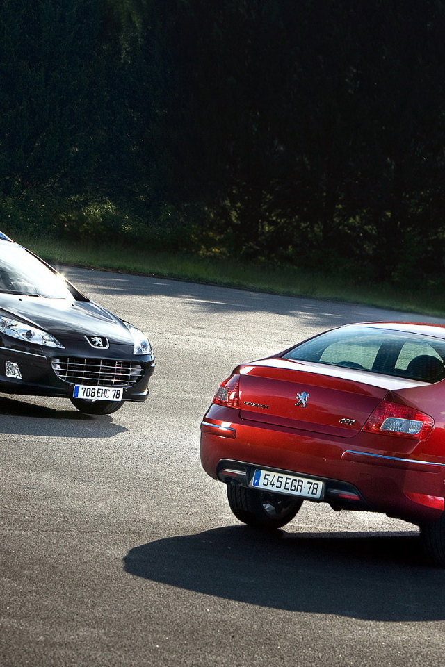 Peugeot 407