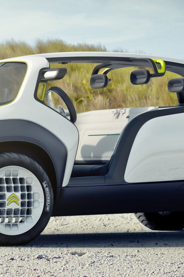 2010 Ситроен Концепт